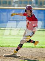 Photo from the gallery "Burroughs @ Muir"