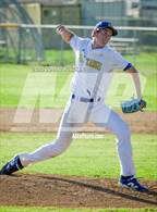 Photo from the gallery "Burroughs @ Muir"