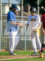 Photo from the gallery "Burroughs @ Muir"