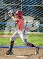 Photo from the gallery "Burroughs @ Muir"