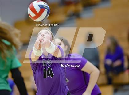 Thumbnail 1 in Grand Oaks vs Willis photogallery.