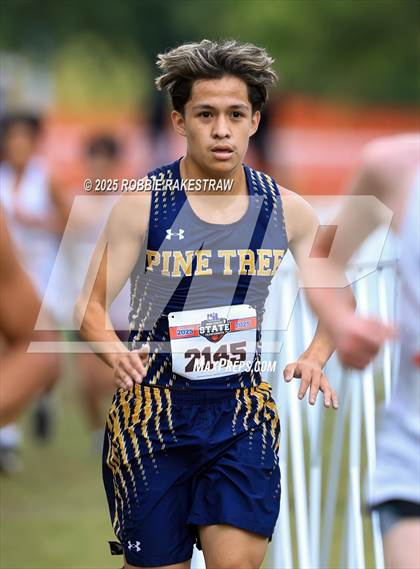 Thumbnail 2 in UIL 4A Boys Cross Country State Final photogallery.