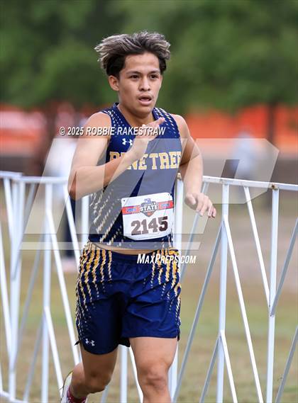 Thumbnail 3 in UIL 4A Boys Cross Country State Final photogallery.