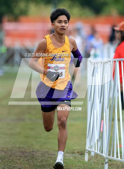 Thumbnail 1 in UIL 4A Boys Cross Country State Final photogallery.