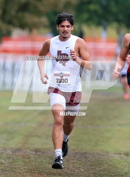 Thumbnail 3 in UIL 4A Boys Cross Country State Final photogallery.
