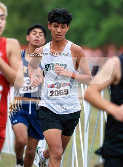 Thumbnail 3 in UIL 4A Boys Cross Country State Final photogallery.