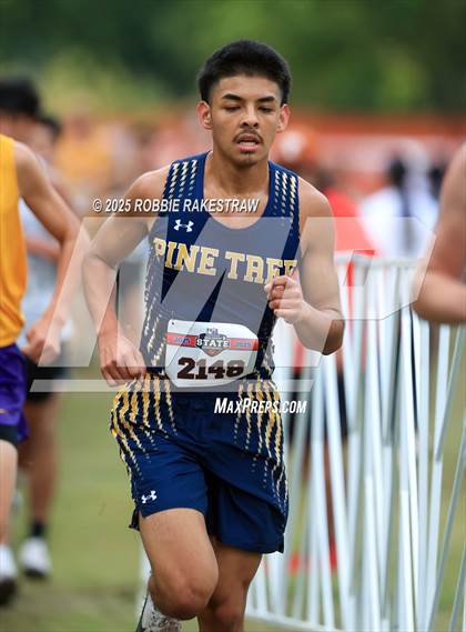 Thumbnail 2 in UIL 4A Boys Cross Country State Final photogallery.