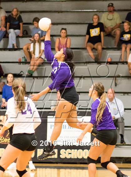 Thumbnail 1 in DeSoto Central @ Hernando photogallery.
