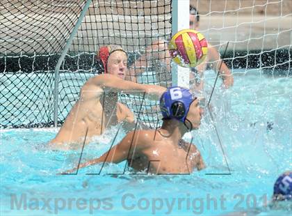 Thumbnail 3 in Fountain Valley vs Palos Verdes (TRX Weisz Cup) photogallery.