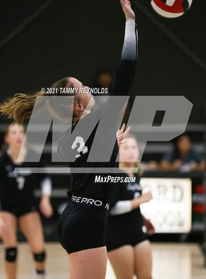 Thumbnail 1 in Perrin-Whitt vs Graford photogallery.