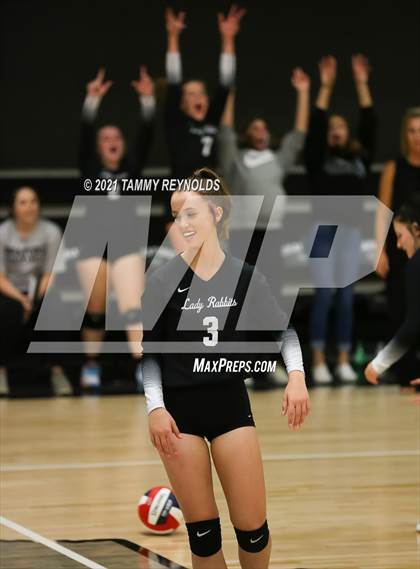 Thumbnail 1 in Perrin-Whitt vs Graford photogallery.