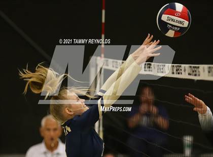 Thumbnail 2 in Perrin-Whitt vs Graford photogallery.