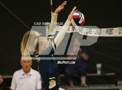 Thumbnail 3 in Perrin-Whitt vs Graford photogallery.