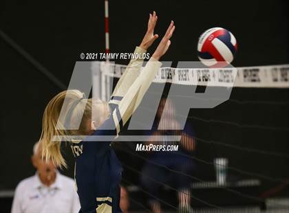 Thumbnail 2 in Perrin-Whitt vs Graford photogallery.