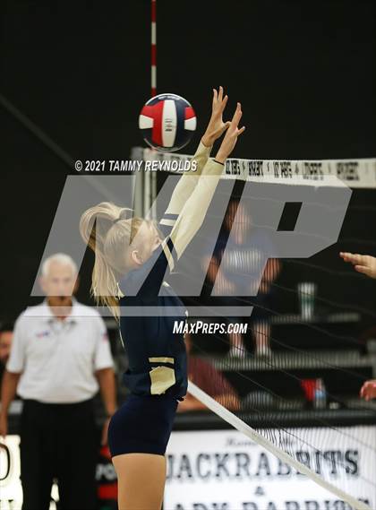 Thumbnail 3 in Perrin-Whitt vs Graford photogallery.