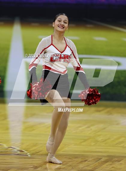 Thumbnail 1 in Pueblo Centennial CHSAA Spirit Poms photogallery.