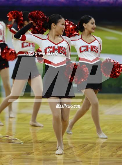 Thumbnail 1 in Pueblo Centennial CHSAA Spirit Poms photogallery.