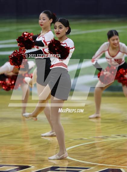 Thumbnail 3 in Pueblo Centennial CHSAA Spirit Poms photogallery.