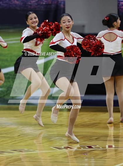 Thumbnail 2 in Pueblo Centennial CHSAA Spirit Poms photogallery.