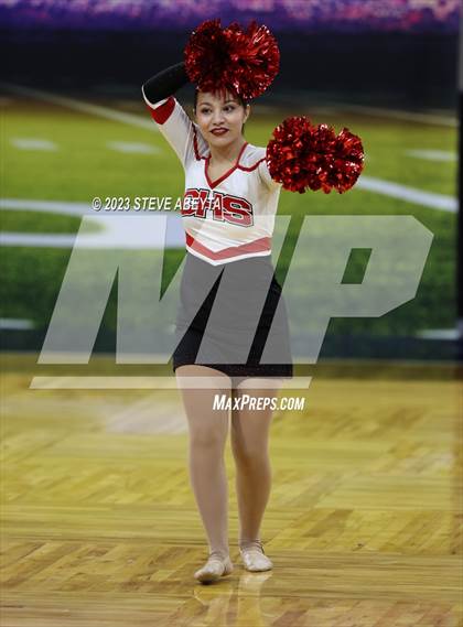 Thumbnail 3 in Pueblo Centennial CHSAA Spirit Poms photogallery.