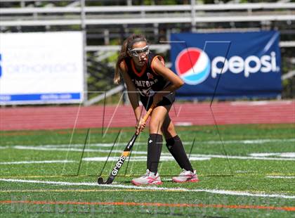 Thumbnail 2 in Stamford @ Ridgefield photogallery.