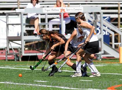 Thumbnail 1 in Stamford @ Ridgefield photogallery.