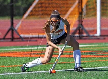 Thumbnail 1 in Stamford @ Ridgefield photogallery.