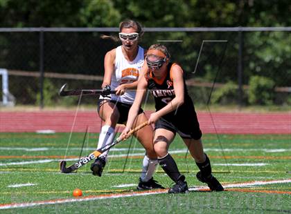 Thumbnail 2 in Stamford @ Ridgefield photogallery.