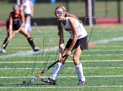 Thumbnail 1 in Stamford @ Ridgefield photogallery.