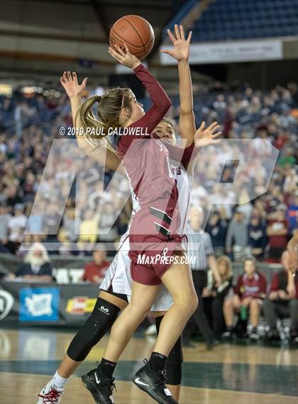 Thumbnail 1 in Prairie vs. Mt. Spokane (WIAA 3A Final) photogallery.