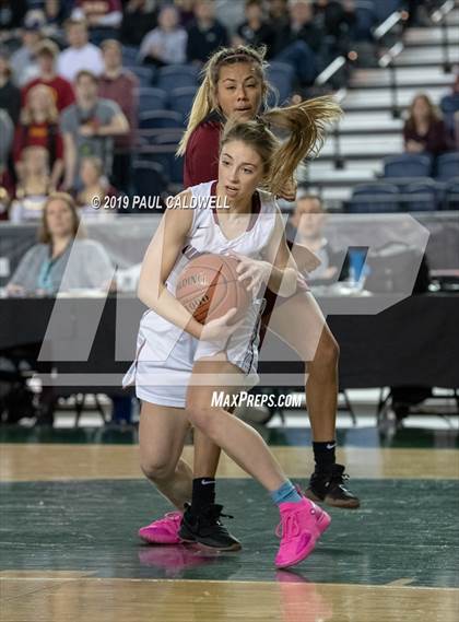 Thumbnail 1 in Prairie vs. Mt. Spokane (WIAA 3A Final) photogallery.