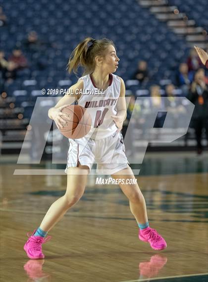 Thumbnail 1 in Prairie vs. Mt. Spokane (WIAA 3A Final) photogallery.