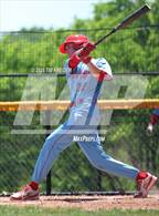 Photo from the gallery "Red Land @ Bishop McDevitt"