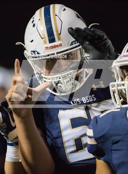 Thumbnail 1 in Chino @ Los Osos photogallery.