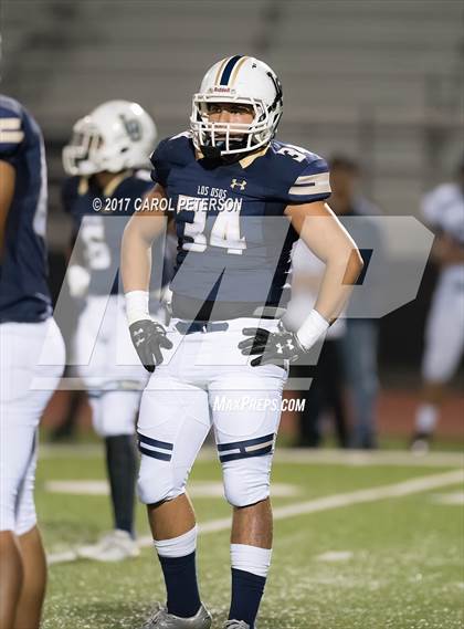 Thumbnail 1 in Chino @ Los Osos photogallery.
