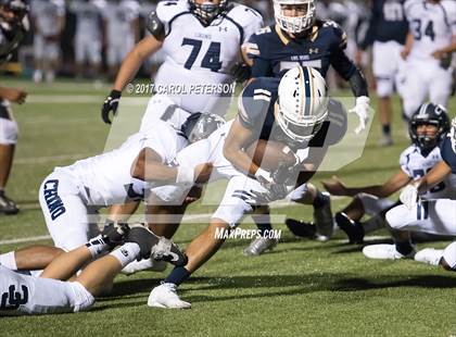 Thumbnail 1 in Chino @ Los Osos photogallery.
