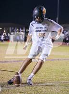 Photo from the gallery "Millennium @ Desert Edge"