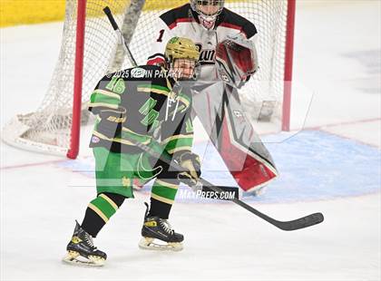 Thumbnail 3 in Notre Dame, WH vs. New Canaan (CIAC DI Semifinal) photogallery.