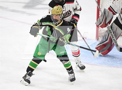 Thumbnail 3 in Notre Dame, WH vs. New Canaan (CIAC DI Semifinal) photogallery.