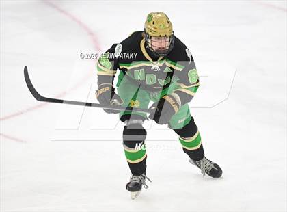 Thumbnail 2 in Notre Dame, WH vs. New Canaan (CIAC DI Semifinal) photogallery.