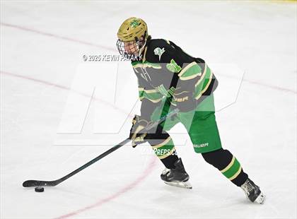 Thumbnail 1 in Notre Dame, WH vs. New Canaan (CIAC DI Semifinal) photogallery.