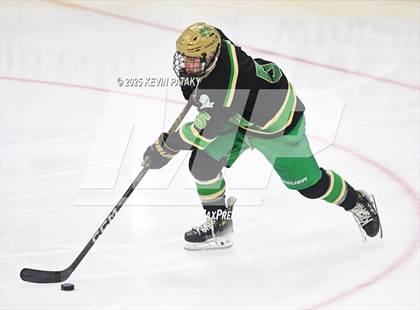 Thumbnail 3 in Notre Dame, WH vs. New Canaan (CIAC DI Semifinal) photogallery.