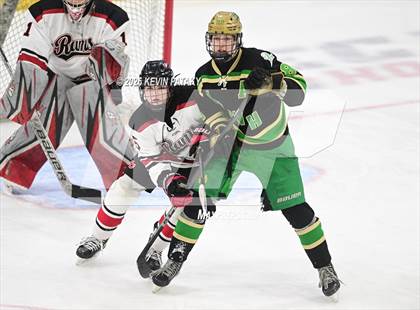 Thumbnail 2 in Notre Dame, WH vs. New Canaan (CIAC DI Semifinal) photogallery.
