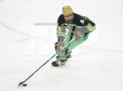 Thumbnail 2 in Notre Dame, WH vs. New Canaan (CIAC DI Semifinal) photogallery.