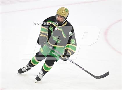 Thumbnail 3 in Notre Dame, WH vs. New Canaan (CIAC DI Semifinal) photogallery.