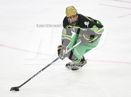 Thumbnail 3 in Notre Dame, WH vs. New Canaan (CIAC DI Semifinal) photogallery.