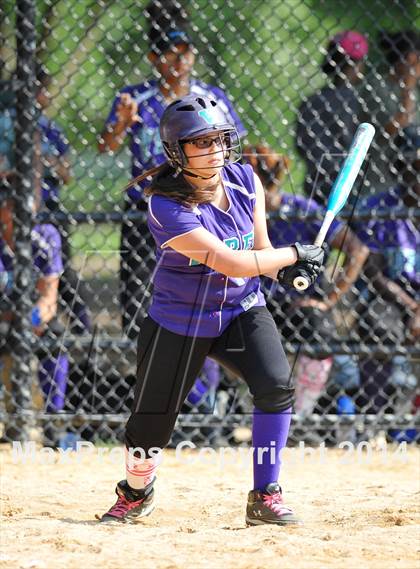 Thumbnail 1 in Morris @ Health Profession (PSAL Quarterfinal Playoff) photogallery.