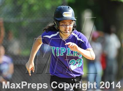 Thumbnail 2 in Morris @ Health Profession (PSAL Quarterfinal Playoff) photogallery.