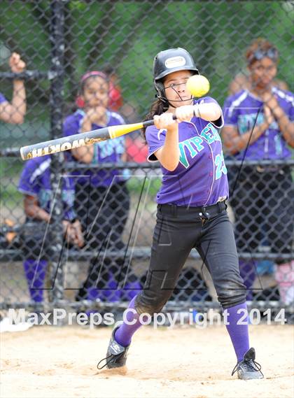 Thumbnail 1 in Morris @ Health Profession (PSAL Quarterfinal Playoff) photogallery.