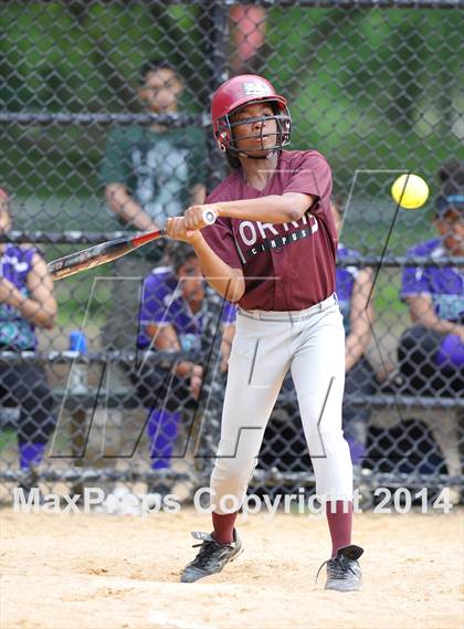 Thumbnail 3 in Morris @ Health Profession (PSAL Quarterfinal Playoff) photogallery.